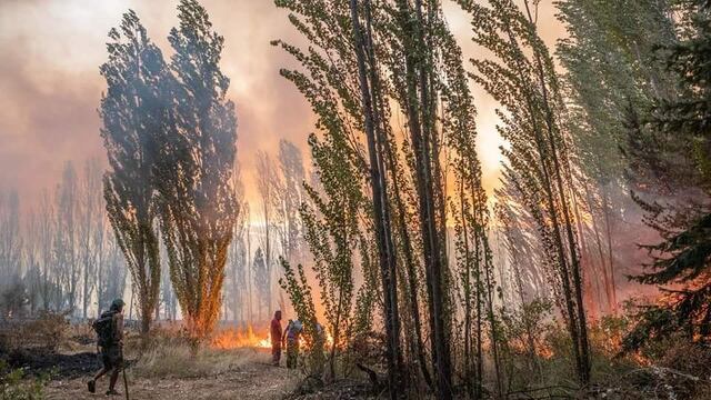 La triste noticia llegó con el hallazgo de un cuerpo e n los incendios.