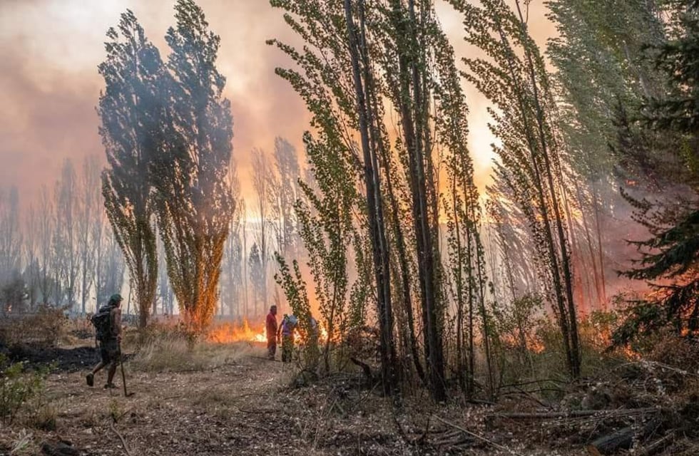 Chubut: hallaron un cuerpo en medio del incendio