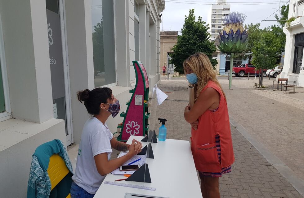 Semillas para la huerta en casa