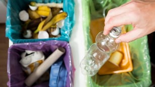 Incentivan a gastronómicos a reciclar sus residuos.