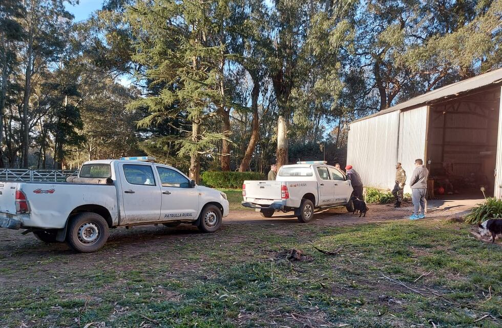 Detienen a un hombre acusado de faenar vacas en el campo donde trabajaba