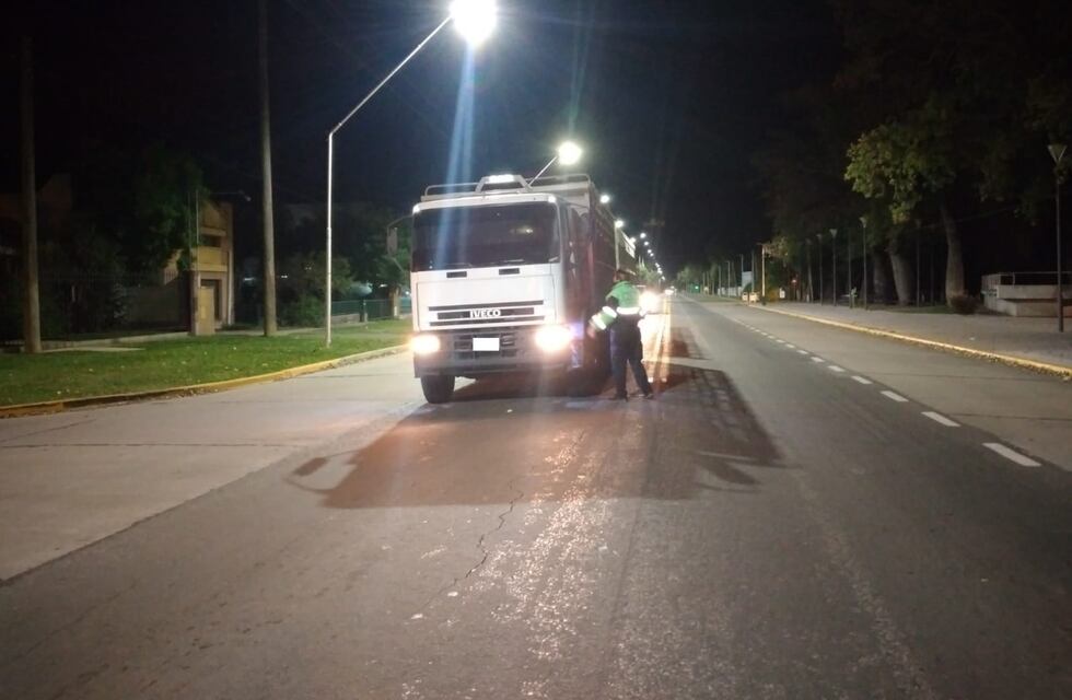 Circulaba al mando de un transporte de cargas fuera del radio permitido
