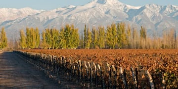 En el día de Luján de Cuyo conocé 6 lugares increíbles para visitar en el departamento mendocino