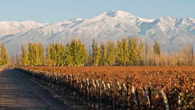 En el día de Luján de Cuyo conocé 6 lugares increíbles para visitar en el departamento mendocino