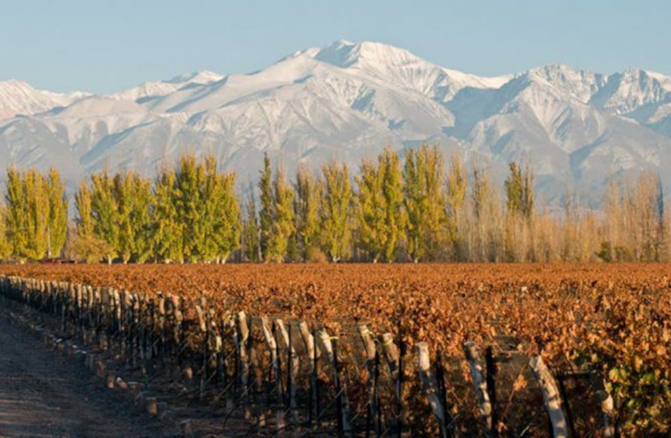 En el día de Luján de Cuyo conocé 6 lugares increíbles para visitar en el departamento mendocino