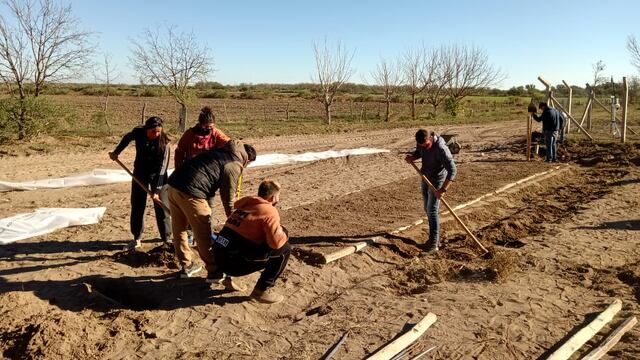 La prueba piloto la llevan adelante estudiantes de sexto año de la escuela técnico agropecuaria Martín Miguel de Güemes.
