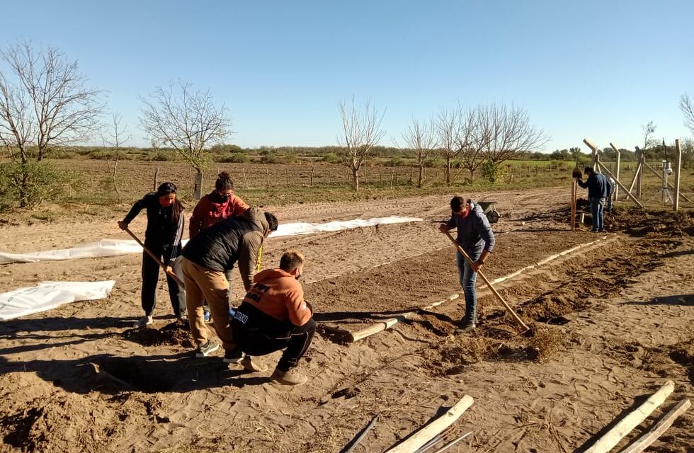 Lucha contra la crisis hídrica: alumnos cultivan forrajes mediante la hidroponia