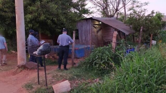 Por tercera vez intentarán juzgar a una pareja acusada de homicidio en Puerto Iguazú.