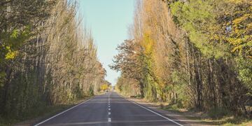 Temperaturas agradables aunque con algo de inestabilidad es lo que auncia el pronóstico para la región.