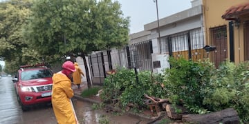 Córdoba: cayeron hasta 60 milímetros de agua y sigue la alerta por tormentas (Foto: Municipalidad)