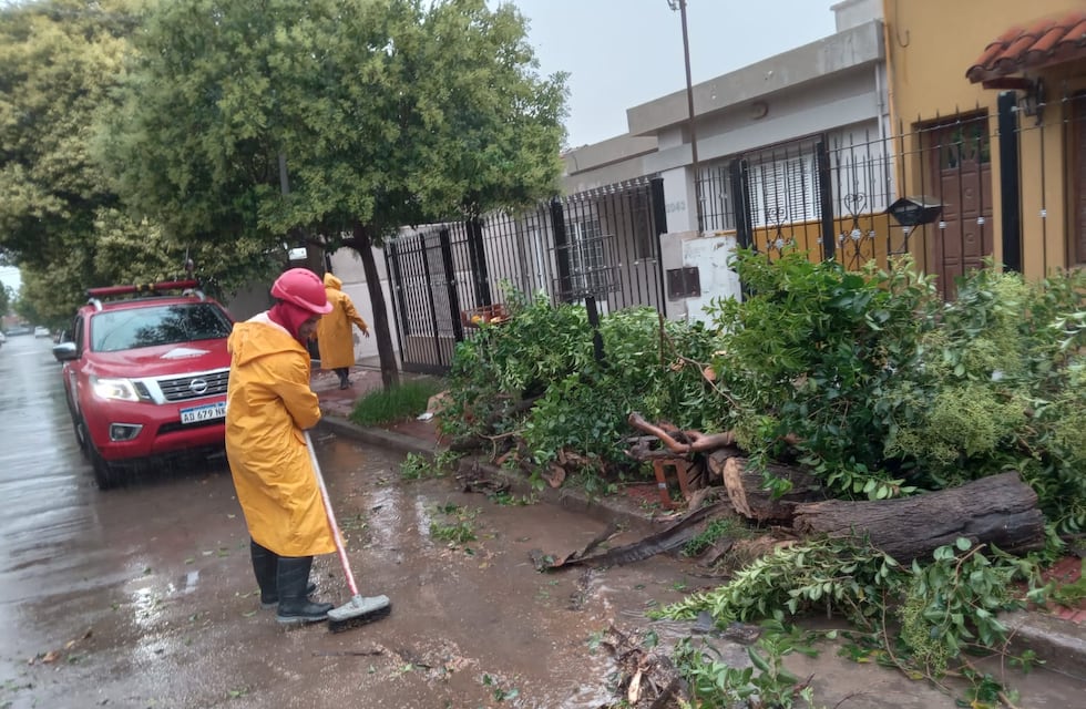 Caída de árboles y peligro de derrumbe de viviendas: el paso de la tormenta por Córdoba