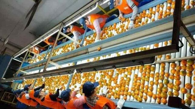 Las exportaciones de cítricos argentinos aumentaron un 11% en 2021