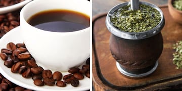 Búsquedas café vs mate