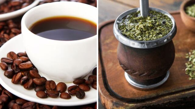 Búsquedas café vs mate