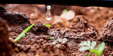 Riego por goteo