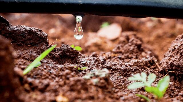 Riego por goteo