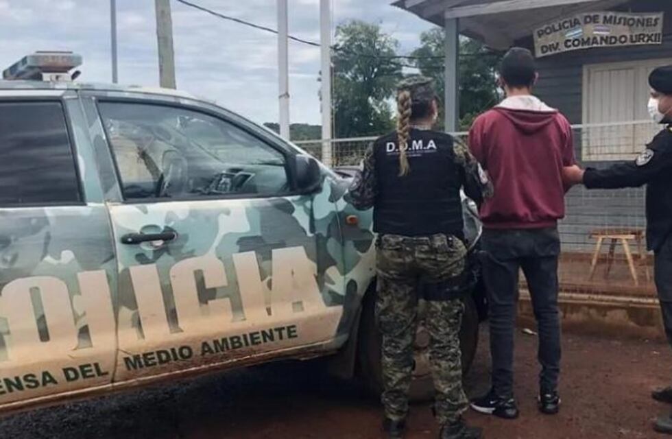 Individuo fue detenido por el robo y faena de animales en San Antonio