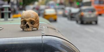 El cráneo hallado en plena avenida Colón. (El Doce)