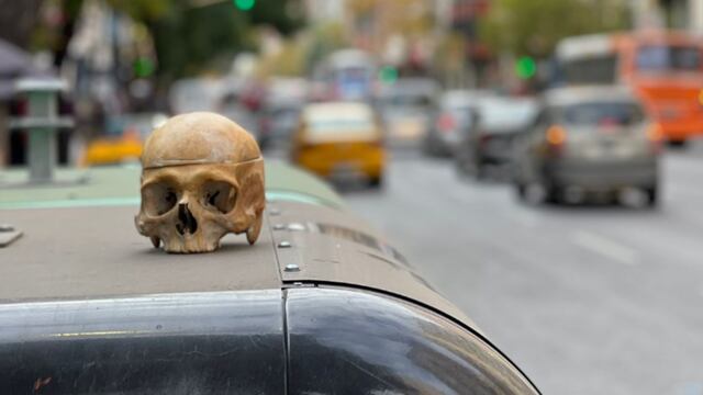 El cráneo hallado en plena avenida Colón. (El Doce)