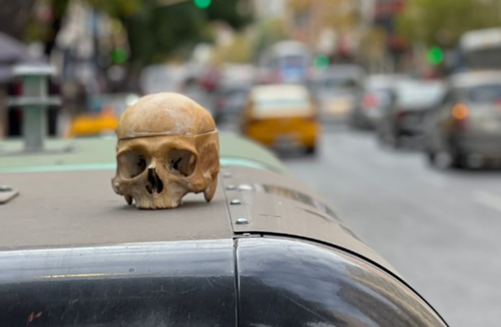 Susto en Córdoba: apareció un cráneo humano sobre un contenedor, en pleno Centro