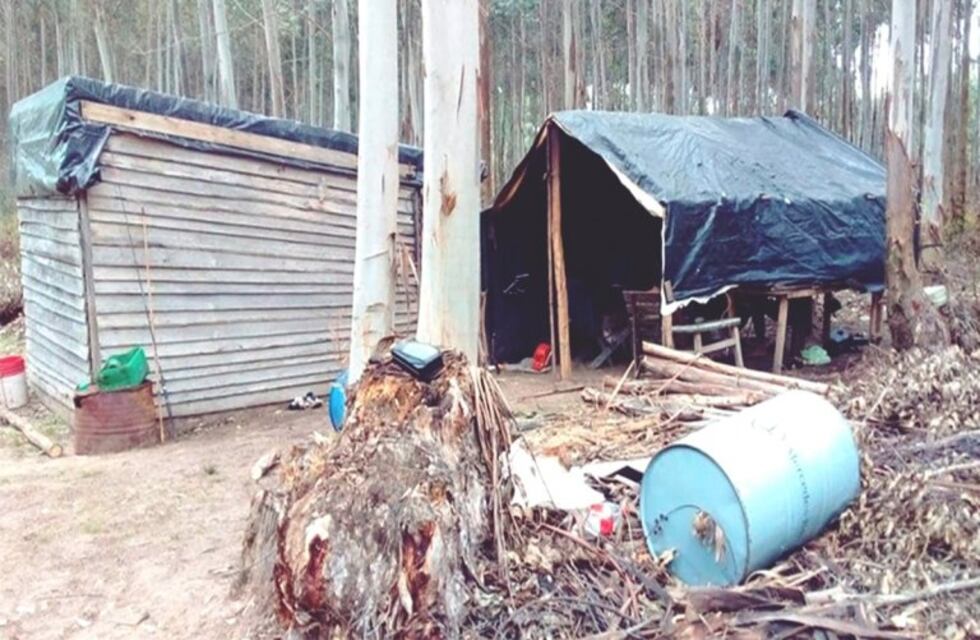Encuentran 23 trabajadores forestales no registrados y en condiciones deplorables