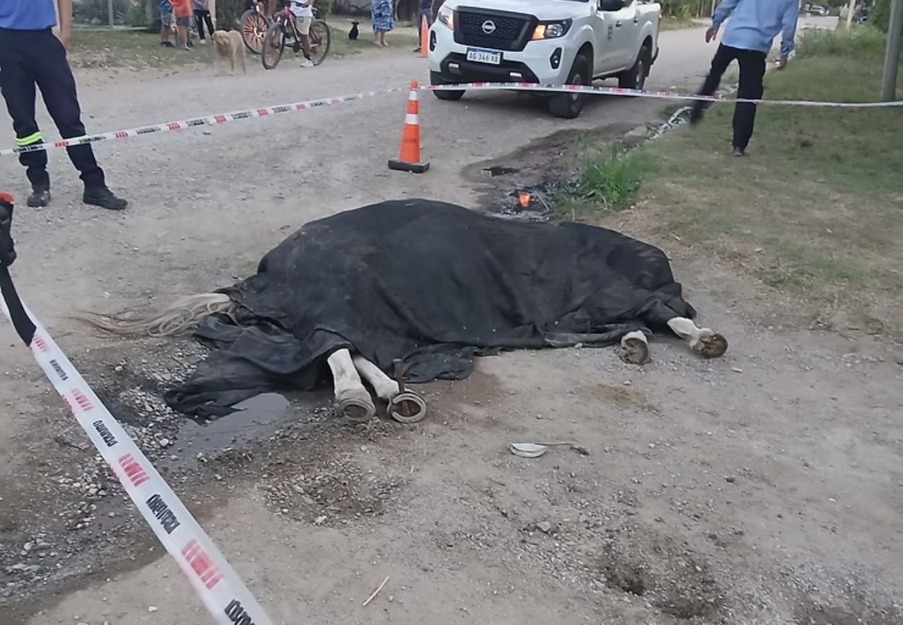 El hecho tuvo lugar en Alta Gracia.