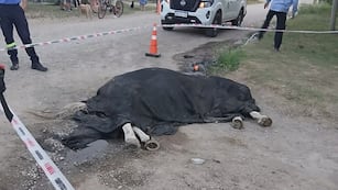 El hecho tuvo lugar en Alta Gracia.