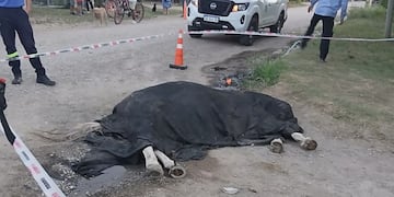 El hecho tuvo lugar en Alta Gracia.