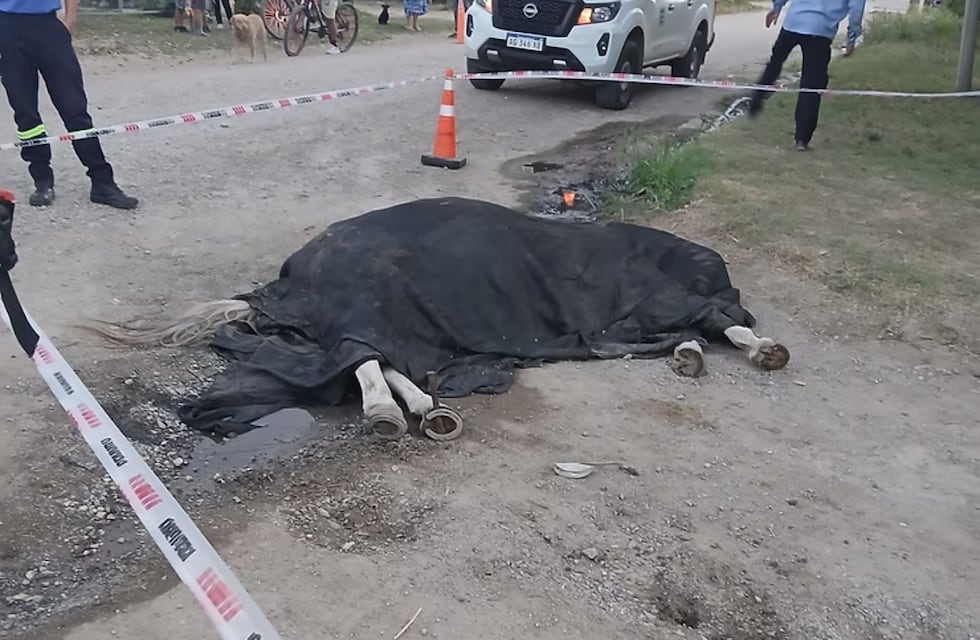 Imprudencia en Córdoba: un niño resultó herido y su caballo murió electrocutado