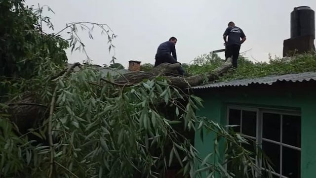Efectivos policiales debieron asistir a varias familias en San Pedro.