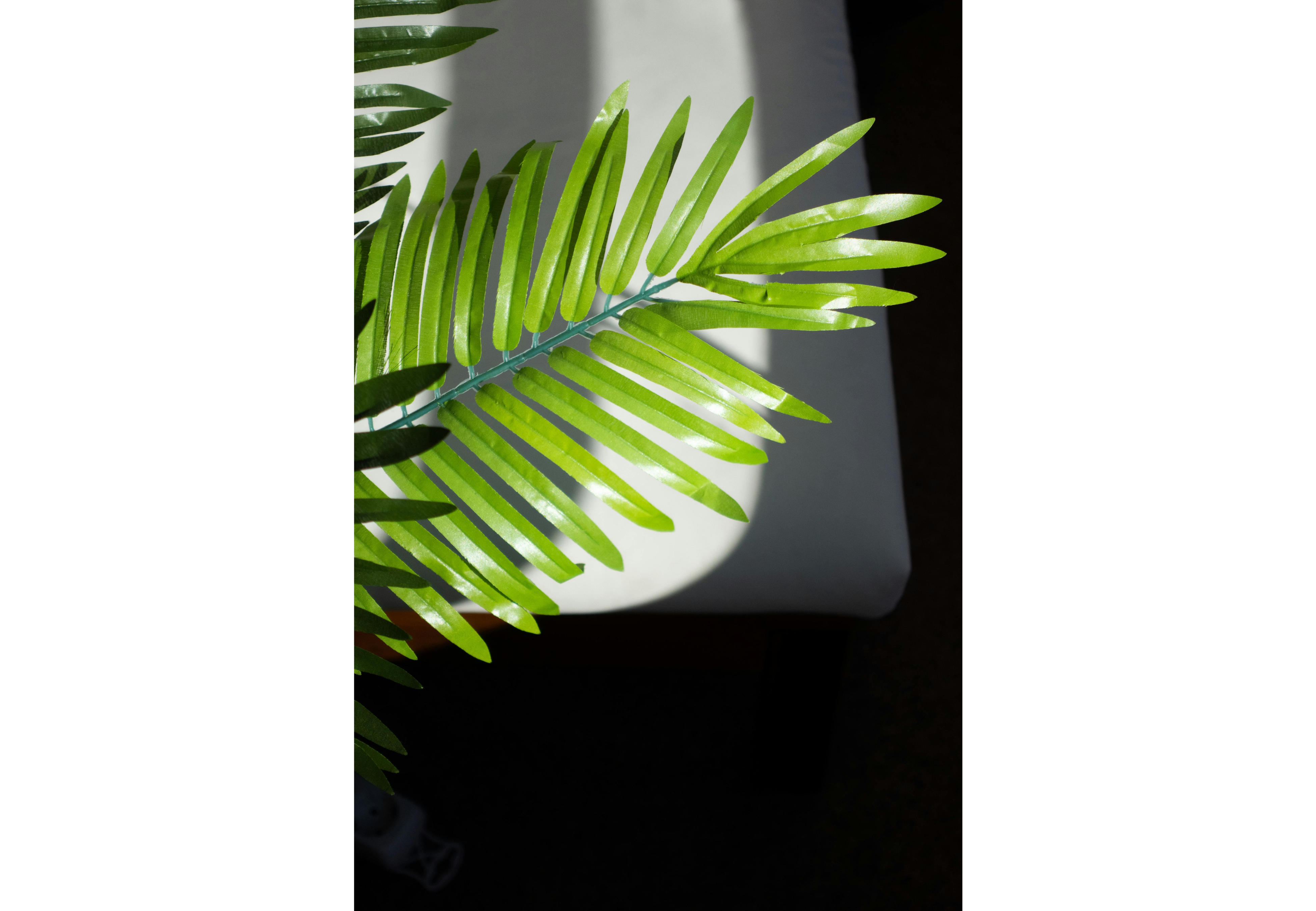 Las plantas artificiales es mejor evitarlas.