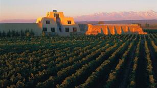 Una bodega mendocina es la mejor del mundo