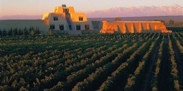 Una bodega mendocina es la mejor del mundo