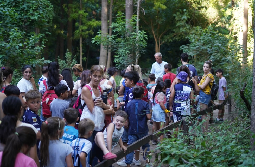 Música, feria, arte y naturaleza para disfrutar en el Bosquecito