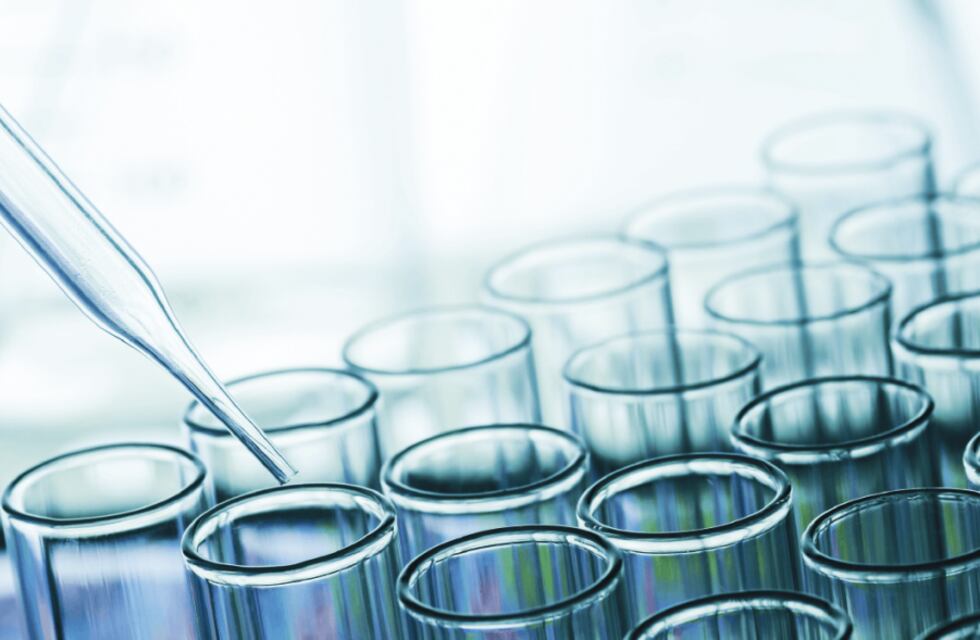 Marcadores genéticos en un segmento de ADN