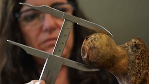 El Equipo Argentino de Antropología Forense trabaja en el caso en La Perla, Córdoba. (Bibiana Fulchieri/ Ilustrativa).