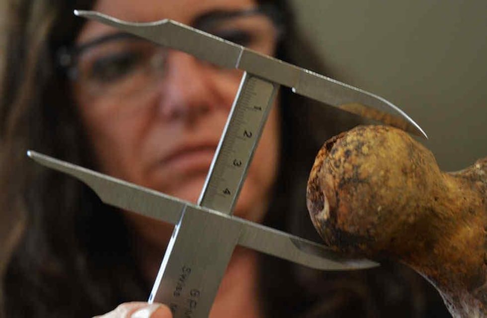 Encontraron restos humanos en La Perla, Córdoba: lo que se sabe del descubrimiento