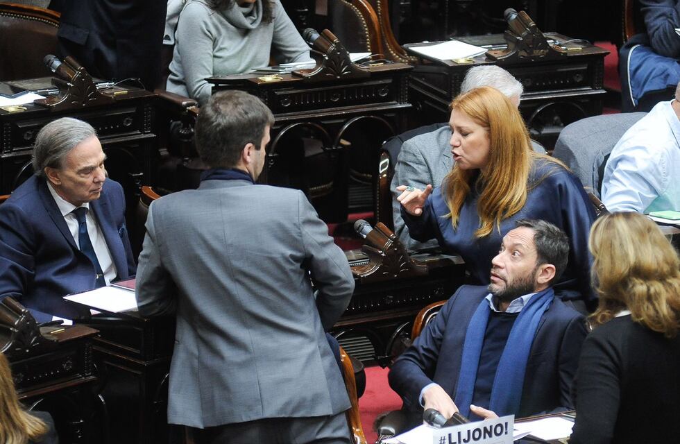 Diputados: la oposición pedirá sesión por la reforma a la ley de DNU que recorta el poder de Milei