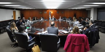 El senador Martín Doñate (La Cámpora) y la diputada Roxana Reyes (UCR) se sumaron al cuerpo.