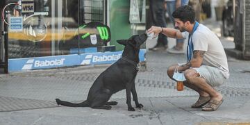 Ola de calor se siente en toda la Argentina. Foto: Federico Lopez Claro