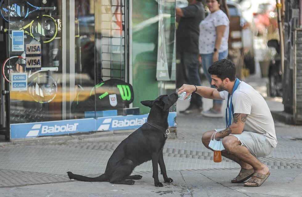 Clima en Rosario: se vienen tres días con temperaturas superiores a los 40°