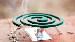 Tras la invasión de mosquitos: qué buscaron los argentinos sobre el repelente en espiral en Google