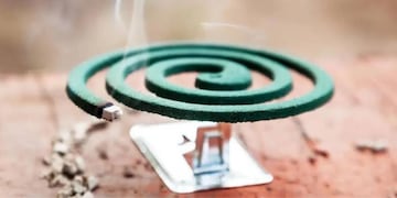 Tras la invasión de mosquitos: qué buscaron los argentinos sobre el repelente en espiral en Google