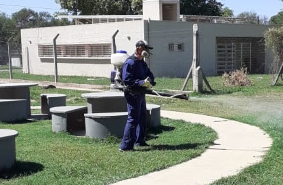 Dengue: comenzaron los trabajos de fumigación en Río Cuarto