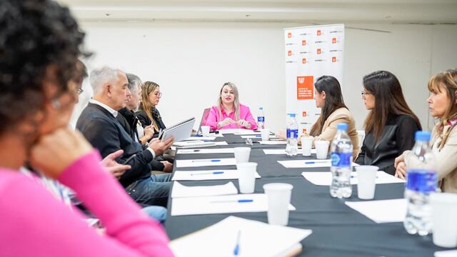 El Ministerio de Trabajo y Empleo de Tierra del Fuego concretó otra mesa de trabajo ODS 8