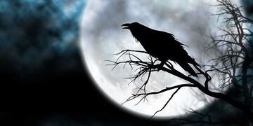 Una vecina chaqueña filmó al legendario “pájaro fantasma”.