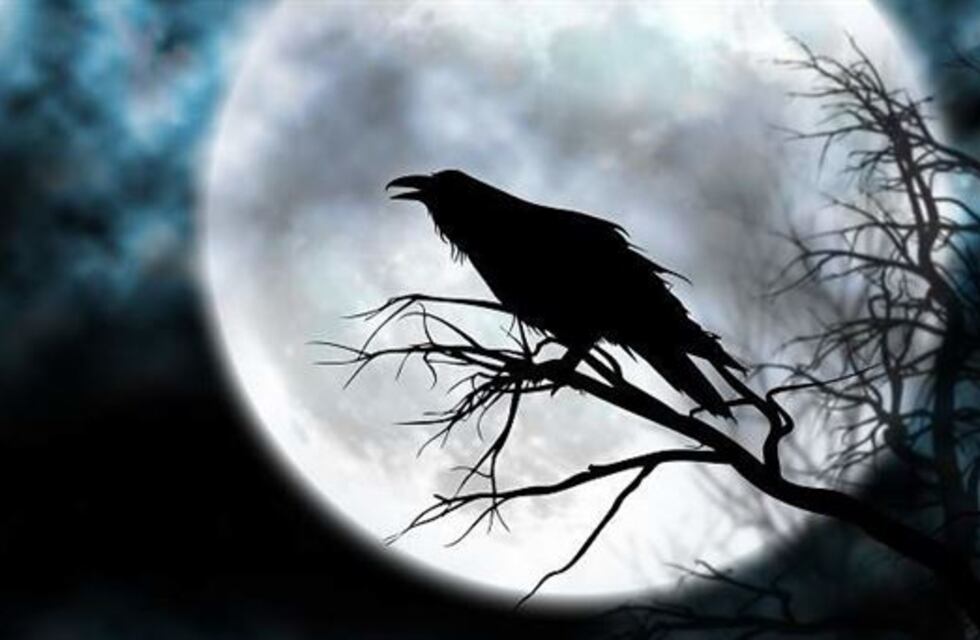 Apareció en Chaco el legendario “pájaro fantasma”: de qué se trata y cuál es la leyenda detrás