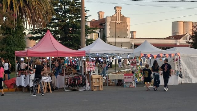 Fiesta provincial del Trigo