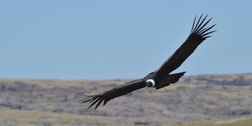 Las obras son para el nuevo acceso al Parque Nacional Quebrada del Condorito.