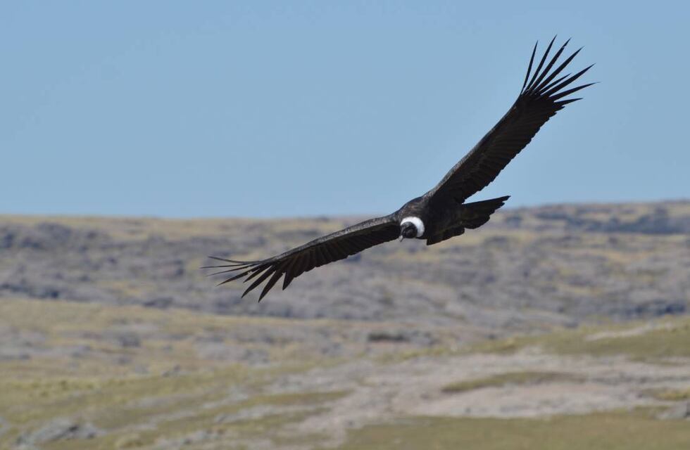 Córdoba: por obras, cortarán el camino de las Altas Cumbres